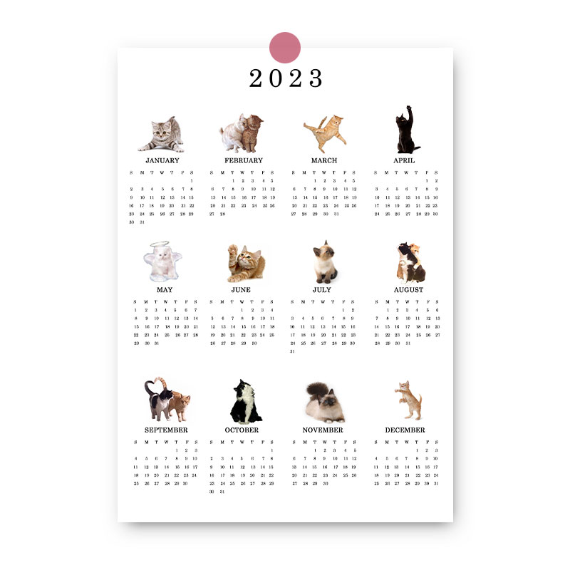 猫 カレンダー ポスター